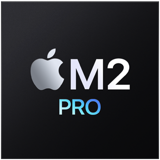 Puce Apple M2 Pro